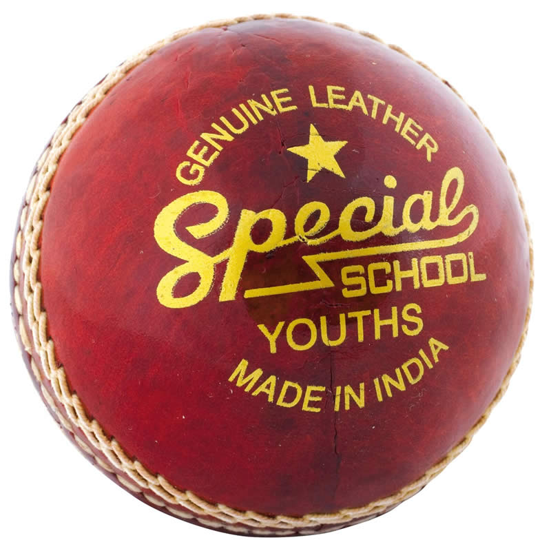 Readers Leather Practice Cricket Ball